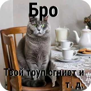🐱 emoji @STICKRULE <- БОЛЬШЕ Telegram sticker 9 of 51
