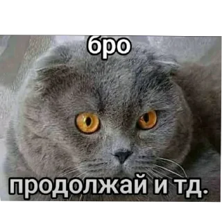🐱 emoji @STICKRULE <- БОЛЬШЕ Telegram sticker 13 of 51