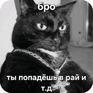 🐱 emoji @STICKRULE <- БОЛЬШЕ Telegram sticker 21 of 51