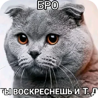👍 emoji @STICKRULE <- БОЛЬШЕ Telegram sticker 7 of 51