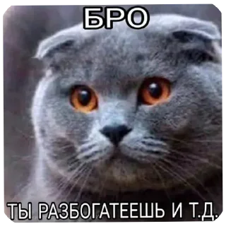 🐱 emoji @STICKRULE <- БОЛЬШЕ Telegram sticker 15 of 51