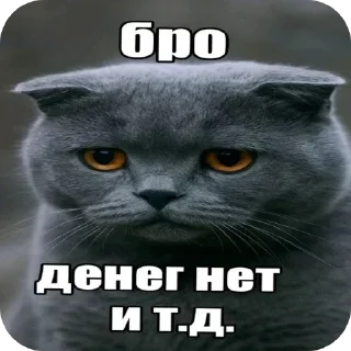 👍 emoji @STICKRULE <- БОЛЬШЕ Telegram sticker 11 of 51