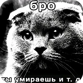 🖼 emoji @STICKRULE <- БОЛЬШЕ Telegram sticker 6 of 51