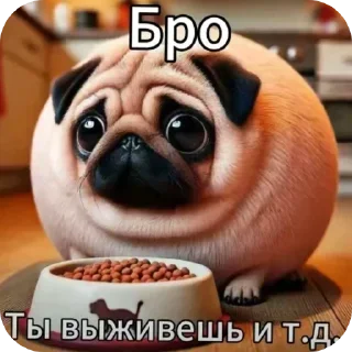 👍 emoji @STICKRULE <- БОЛЬШЕ Telegram sticker 12 of 51