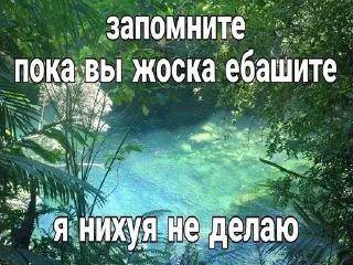 Sticker from эщкере@qwassexxy