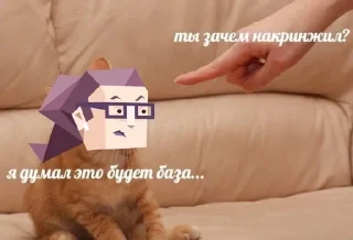 Sticker from intp
