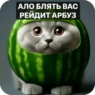 Sticker from Арбуз и тд (сделано @probably_kor)