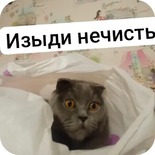 Sticker from Кошак