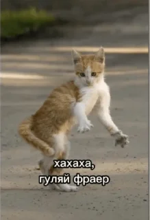 Sticker from Сделано Кирюшей