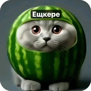 Sticker from Арбуз и тд (сделано @probably_kor)