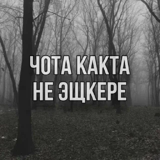 Sticker from Чот не эшкере(