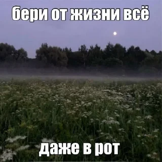 Sticker from Чот не эшкере(