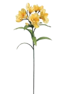Sticker from flowers 4u ^^