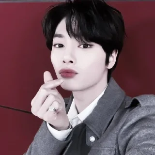 Sticker from jeongin by @rekkerr