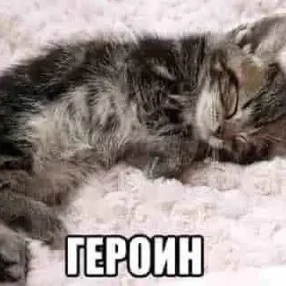 💊 emoji для пидарасвв Telegram sticker 17 of 47