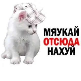 Sticker from 🎭