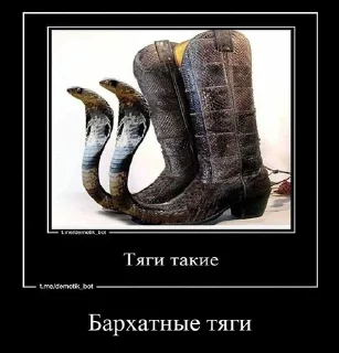 Sticker from Тяги бархатные