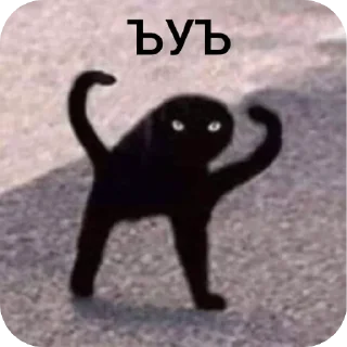 котики sticker 4