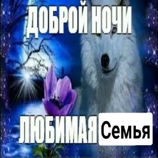 😍 emoji Семья Telegram sticker 7 of 21