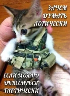 🌟 emoji Груз 200 мы вместе zloirys Telegram sticker 6 of 36