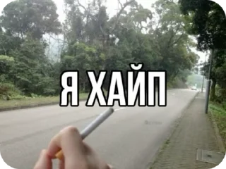 Sticker from пикчи с фразами