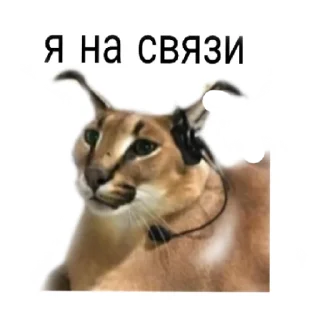 😇 emoji Для важных переговоров Telegram sticker 6 of 19