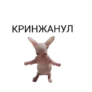 🤡 emoji Для важных переговоров Telegram sticker 13 of 19