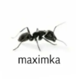 Sticker from maximkos