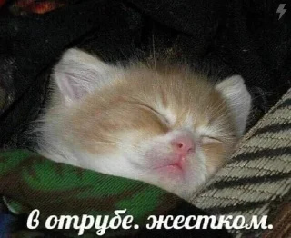 🥰 emoji на все случаи Telegram sticker 6 of 51