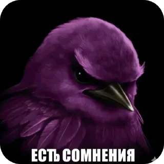 Sticker from птички --> @kushinft