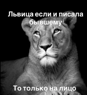 🦁 emoji лайф из дайджобу Telegram sticker 10 of 86