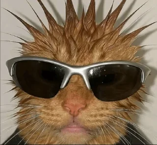 😎 emoji лайф из дайджобу Telegram sticker 21 of 86