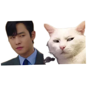 🐱 emoji Хехе😂 Telegram sticker 11 of 51