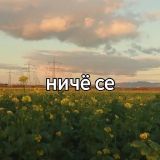 Sticker from Щп вхитееее