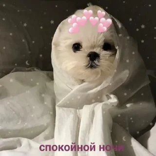 Sticker from спкнч🤍дбрутр💗