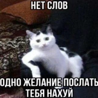 Sticker from Алиса в траве чудес