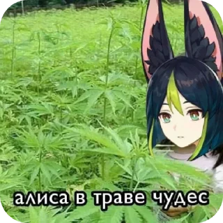 Sticker from Алиса в траве чудес