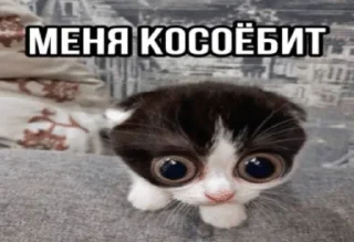🌟 emoji Котята Telegram sticker 24 of 94