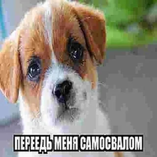 😇 emoji хорошо Telegram sticker 22 of 120