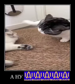 Sticker from Солевая банда