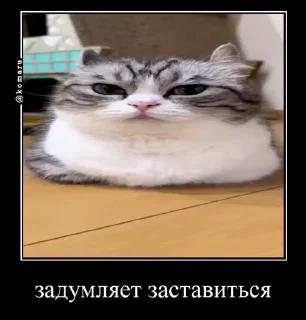 Sticker from Солевая банда