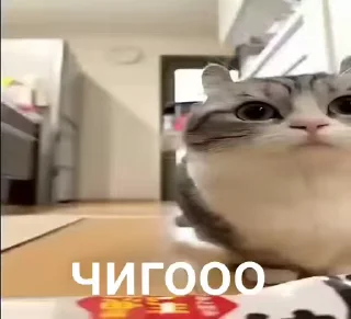 Sticker from Солевая банда