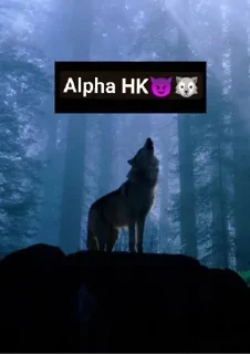 😳 emoji ༒︎ 𝐀𝐋𝐏𝐇𝐀 𝐓𝐄𝐀𝐌 ༒︎ ¦ 🐺 pack by @QuotLyBot Telegram sticker 18 of 120