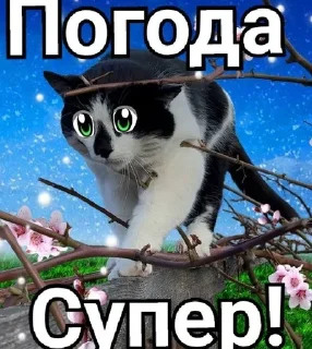 Sticker from Малыш А ну-ка давай-ка