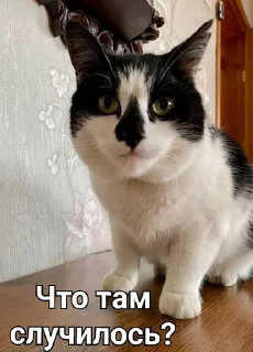 Sticker from Малыш А ну-ка давай-ка
