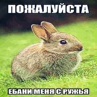 Sticker from ЕБАТЬ ВСРАТЫШИ