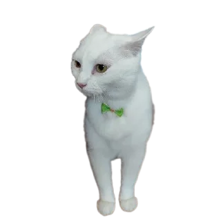 Sticker from Всратыши