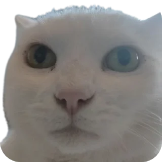 Sticker from Всратыши