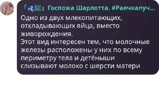 🤽‍♀️ emoji 2024 айсберг Telegram sticker 5 of 115