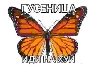 🦋 emoji Иди на хуй от @smaili4ka Telegram sticker 11 of 106